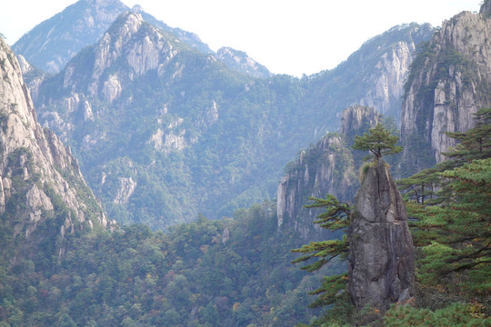 黃山