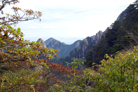 黄山