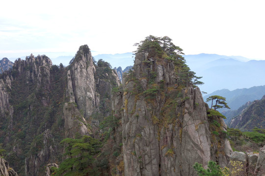 黃山