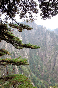 黃山