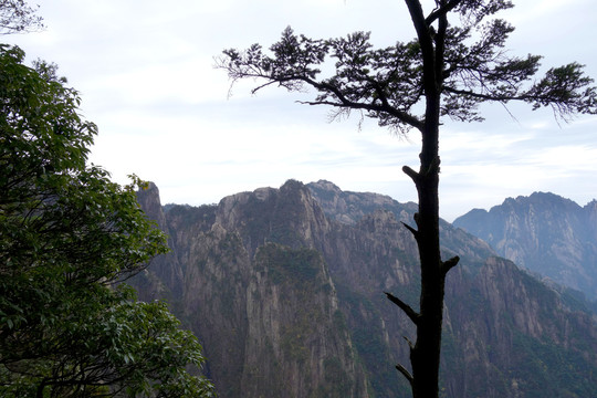 黄山