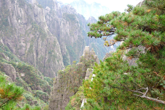 黃山
