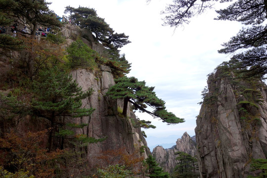 黃山