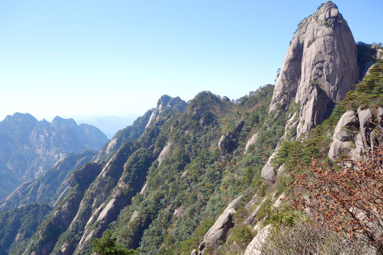 黃山