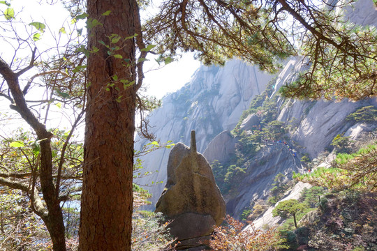 黄山