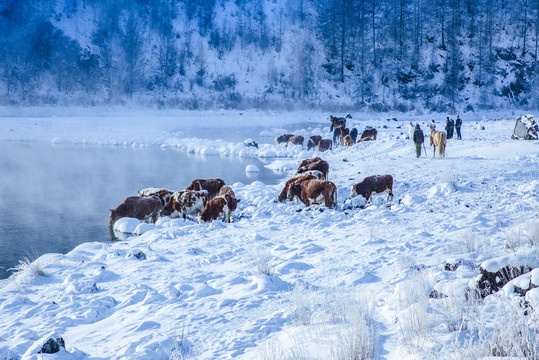 雪乡