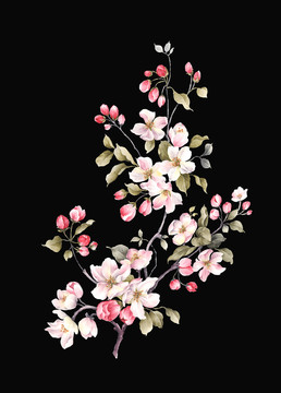 手繪小花