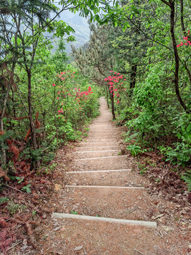 皖南山路