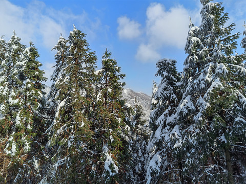 皖南雪山