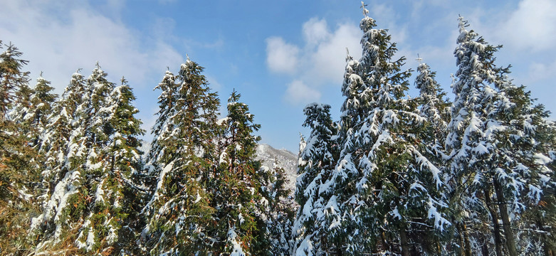 皖南雪山