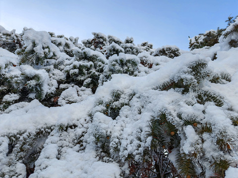 皖南雪山