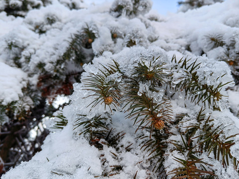 皖南雪山