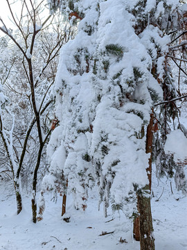 皖南雪山