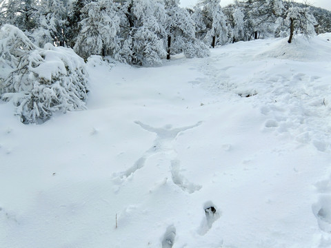 皖南雪景