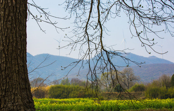 圣境山风光