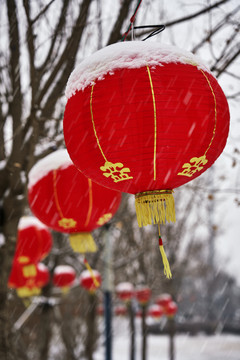 落雪的红灯笼