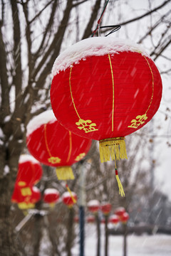 落雪的红灯笼