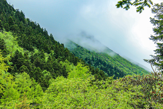 黄龙风景名胜区