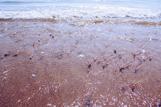 沙滩浪花