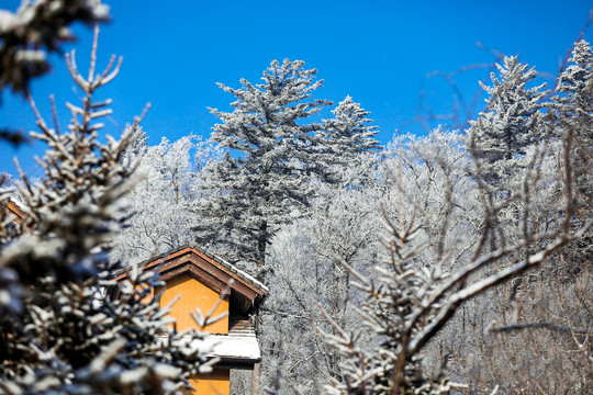 冰雪天地