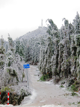 冰雪