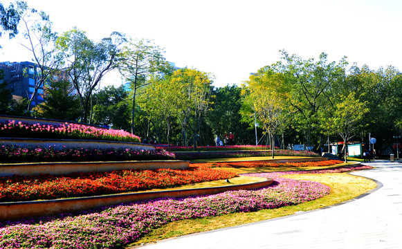 城市花坛