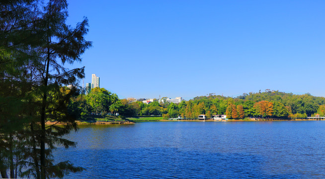 人造湖风景