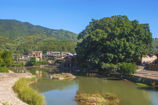 云水谣大树小溪乡村风情