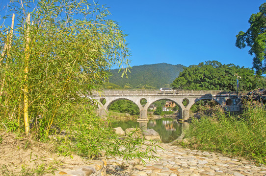 竹丛拱桥小路风景