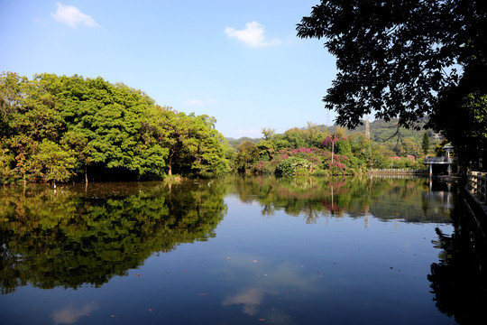 深圳东湖公园湖水美景