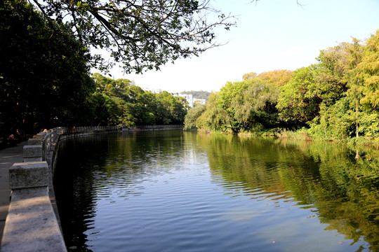 深圳东湖公园湖水美景