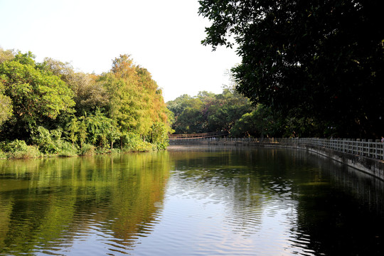 深圳东湖公园湖水风光