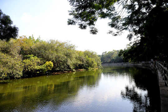 深圳东湖公园湖水美景