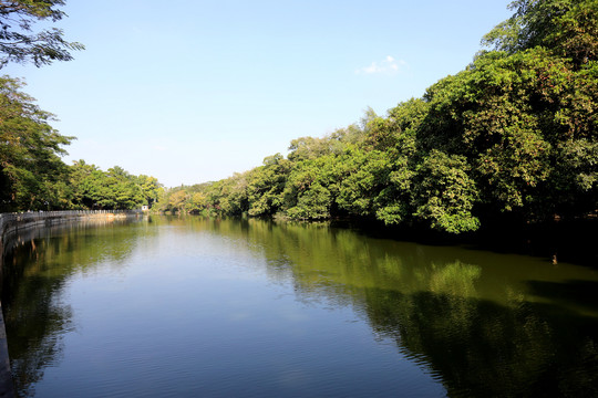 深圳东湖公园湖水美景