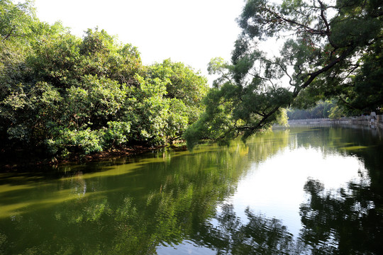 深圳东湖公园湖水倒影