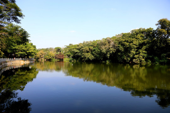 深圳东湖公园湖水美景