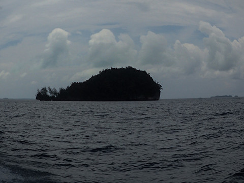 帕劳鲸鱼岛