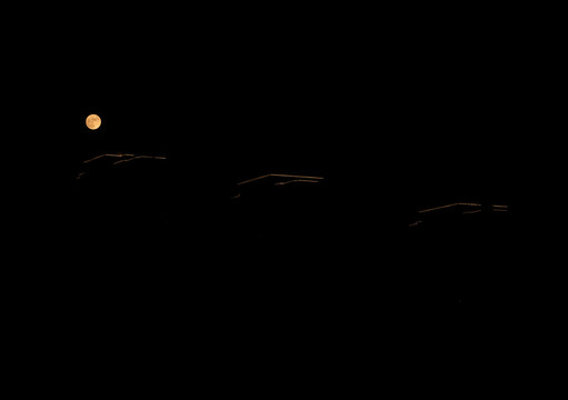 十五月亮圓月夜色天空夜晚