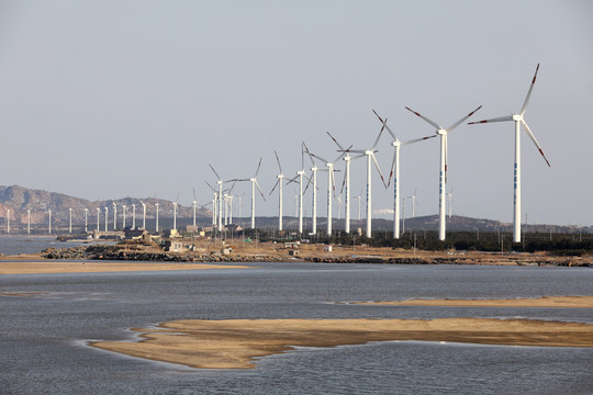 风从海上来