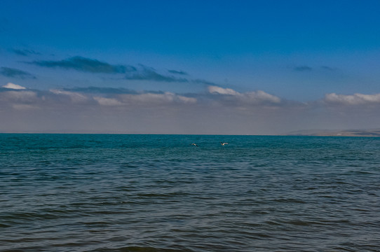 青海湖风光