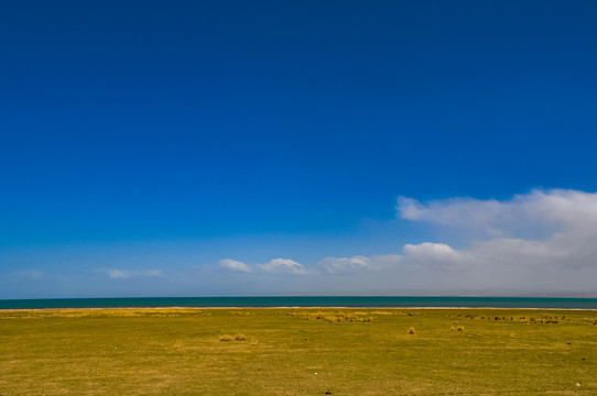 青海湖美景