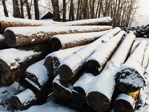 木材积雪圆木