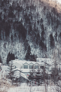 东北吉林雪乡