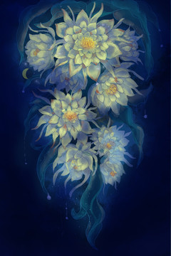 手繪曇花夢幻曇花油畫曇花