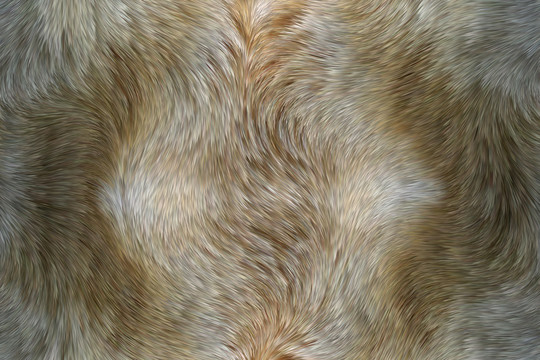 動物毛發(fā)皮毛貼圖