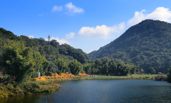 湖景