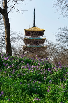 武汉东湖樱园的五重塔