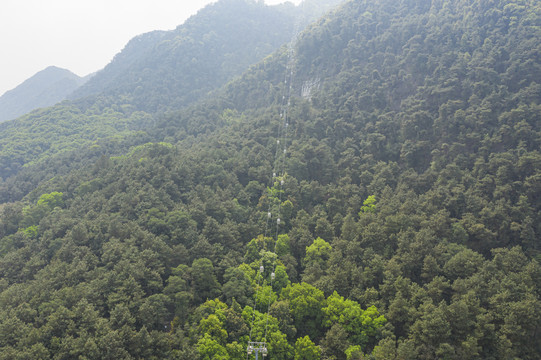 歌乐山森林公园