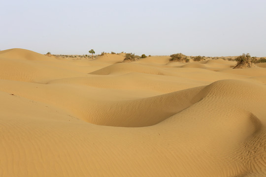 沙漠风景