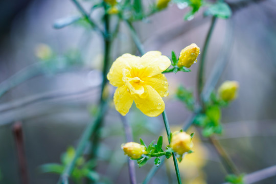 春暖花开